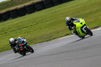 PJ-Motorsport-2019;anglesey-no-limits-trackday;anglesey-photographs;anglesey-trackday-photographs;enduro-digital-images;event-digital-images;eventdigitalimages;no-limits-trackdays;peter-wileman-photography;racing-digital-images;trac-mon;trackday-digital-images;trackday-photos;ty-croes